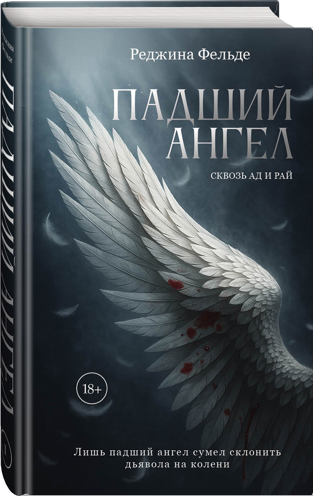 Падший ангел. Сквозь ад и рай