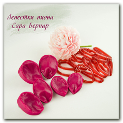 вайнеры и каттеры пиона