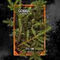 Табак Cobra-Fir Tree, 40 гр. LA MUERTE