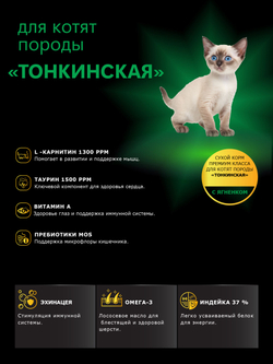 Корм сухой для котят породы Тонкинская, с ягненком, 2кг, QUATTRO