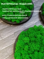 Круглое панно на стену из мха набор 3 шт.