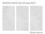 Staro Slim Dimonia White Matt 60x120