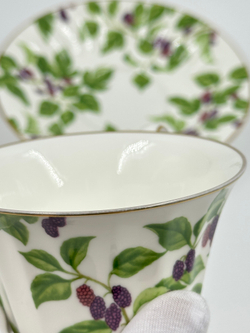 Чайная пара Noritake