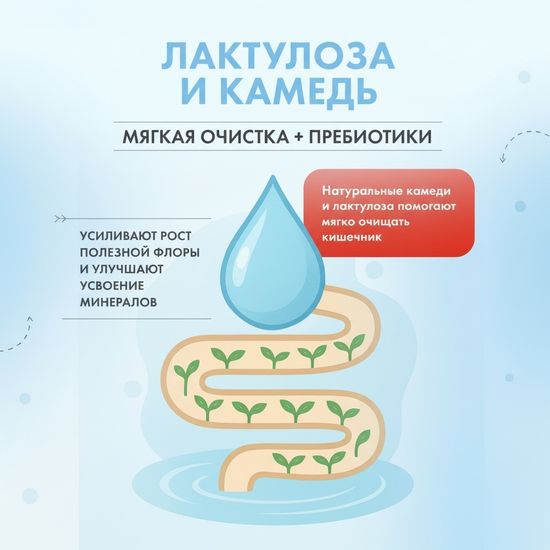 Мультилиз