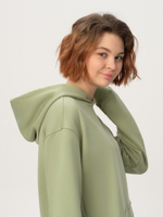 ХУДИ классика 330 г