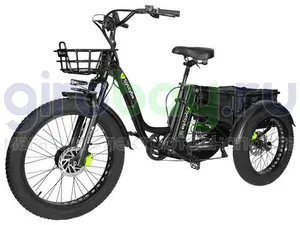 Электровелосипед Syccyba Trike 2.0 фото №1