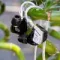 Campfire Audio Astrolith Stainless Steel