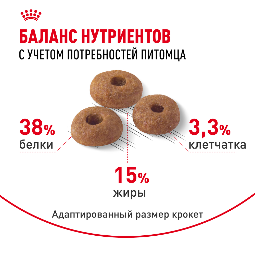 Royal Canin Digestive Care Дайджестив Кэа Корм сухой профилактика нарушений пищеварительной системы для взрослых кошек 2кг