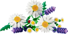 Конструктор LEGO Botanical Collection 11508 Daisies