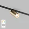 Трековый светильник SMART SPOT | СМАРТ СПОТ DK8010-BG Denkirs