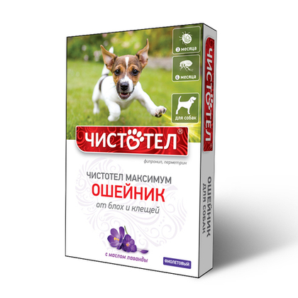 ЧИСТОТЕЛ МАКСИМУМ Ошейник от блох и клещей для собак, 65 см, фиолетовый
