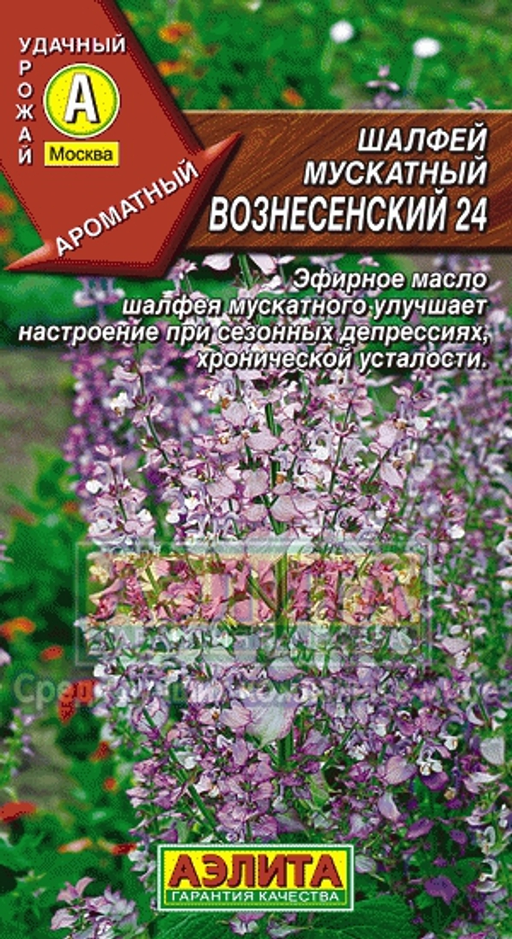 ьбтл