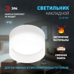 Светильник настенно-потолочный спот ЭРА OL30 WH GX53 белый | Накладные светильники