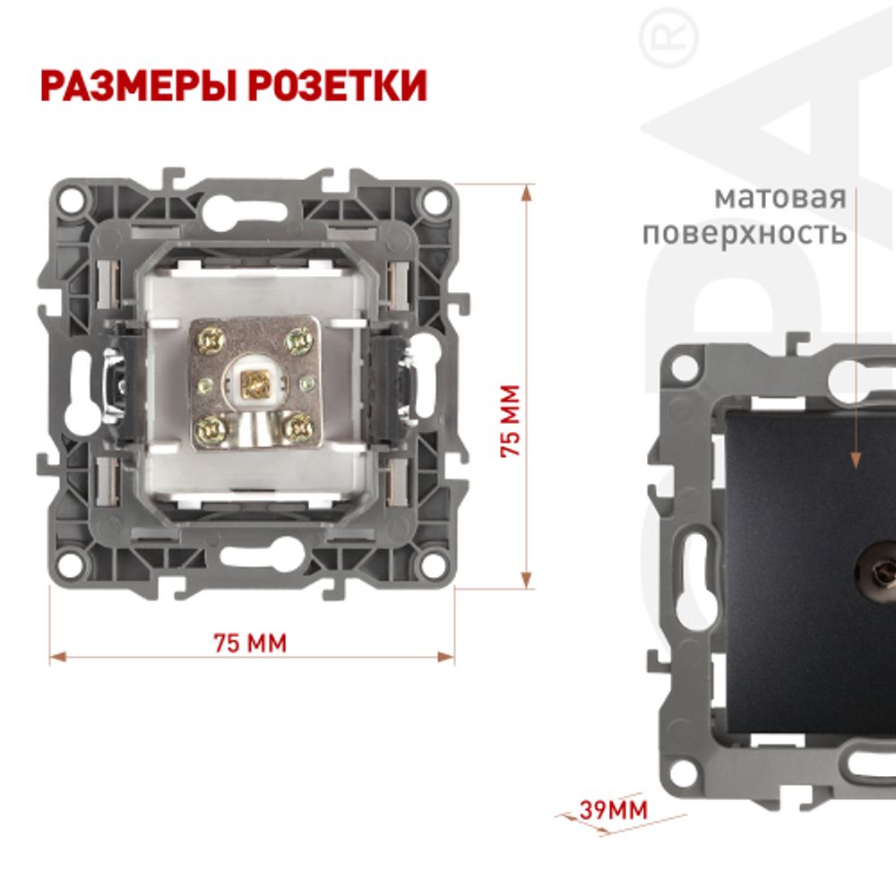 12-3101-05 ЭРА Розетка TV одиночная, IP20, Эра12, антрацит | Эра 12