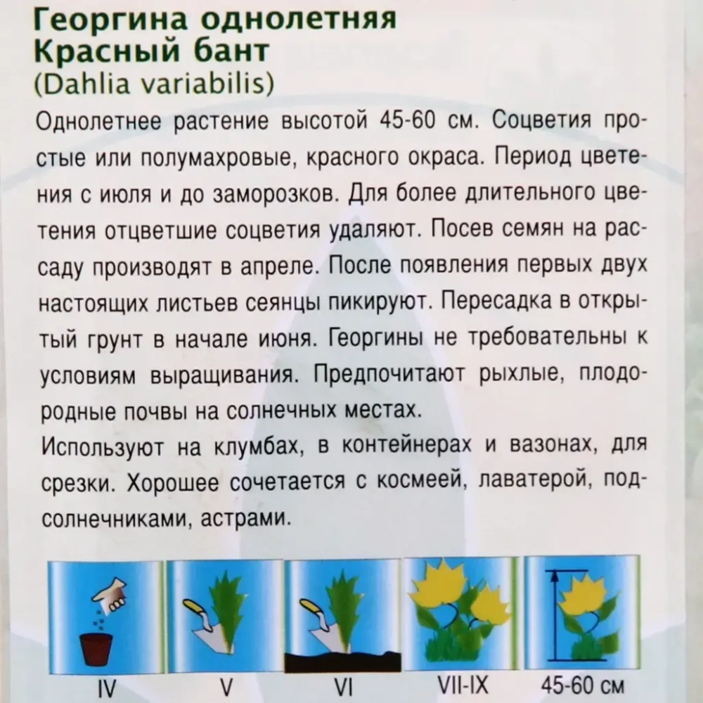 Семена Георгина Красный бант 0,3гр 20082431