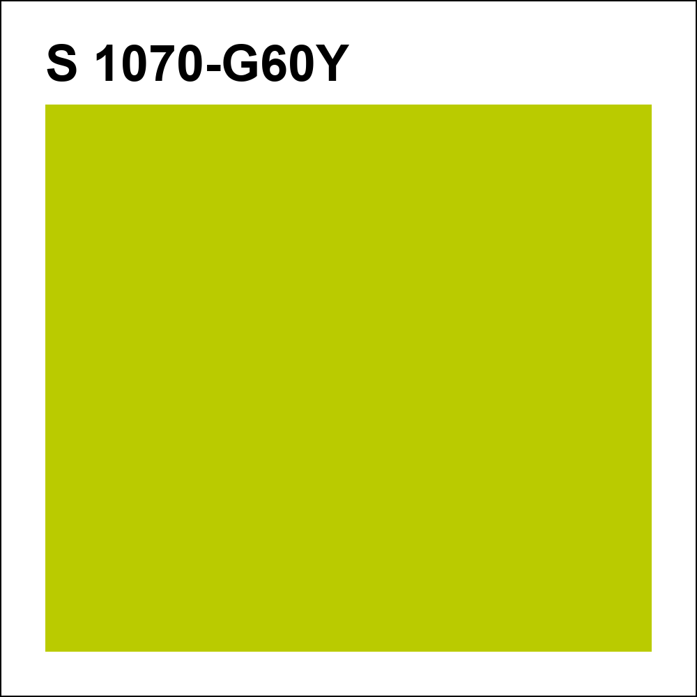 S 1070-G60Y за кг