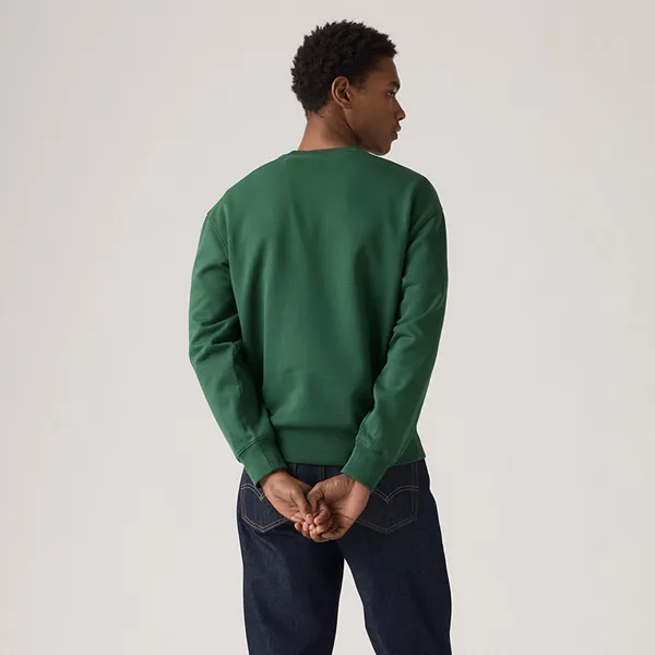 Толстовка мужская LEVI'S RELAXD GRAPHIC CREW