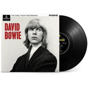 David Bowie / The Shel Talmy Recordings (Limited Edition)(LP)