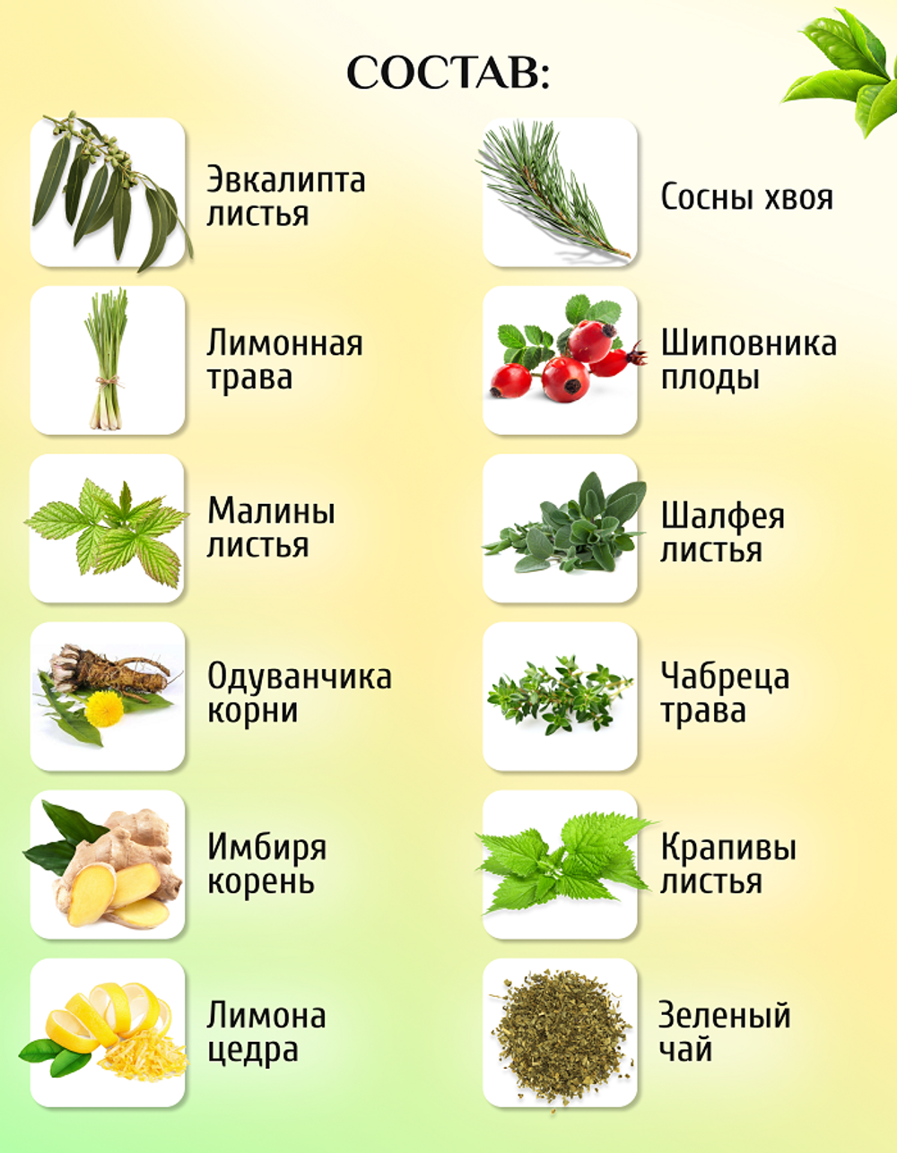 Чайный напиток "Иммунный"