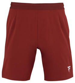 Теннисные шорты Tecnifibre Team Short