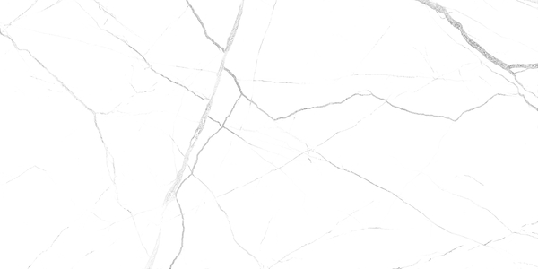 GT121VG Настенная плитка Силуэт / Siluet Бел. 25x50 _ 1\74,25