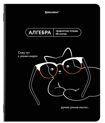 Тетрадь предмет. А5 48л. клетка "Мемы" Алгебра twin лак, подсказки (BRAUBERG)