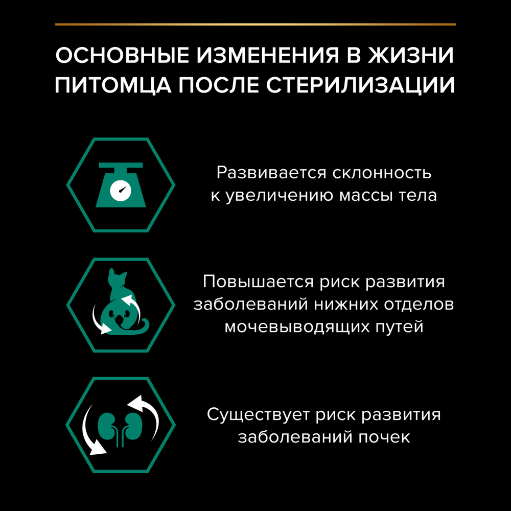 Сухой корм PRO PLAN Sterilised Adult RENAL PLUS для взрослых стерилизованных кошек индейка 400 г