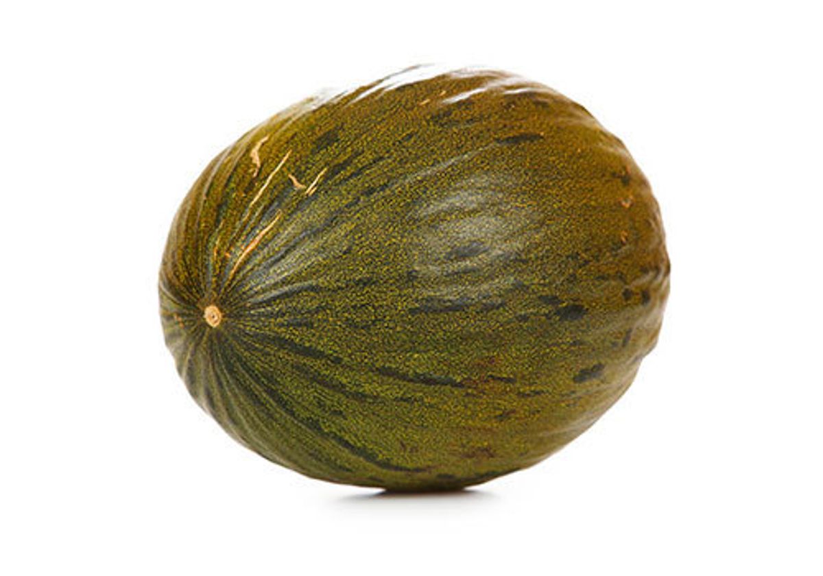 Дыня Bollo~2кг