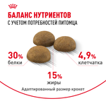 Royal Canin Indoor Long Hair Индор Лонг Хэйр Корм сухой для длинношерстных кошек в возрасте от 1 года до 7 лет живущих в помещении 400г