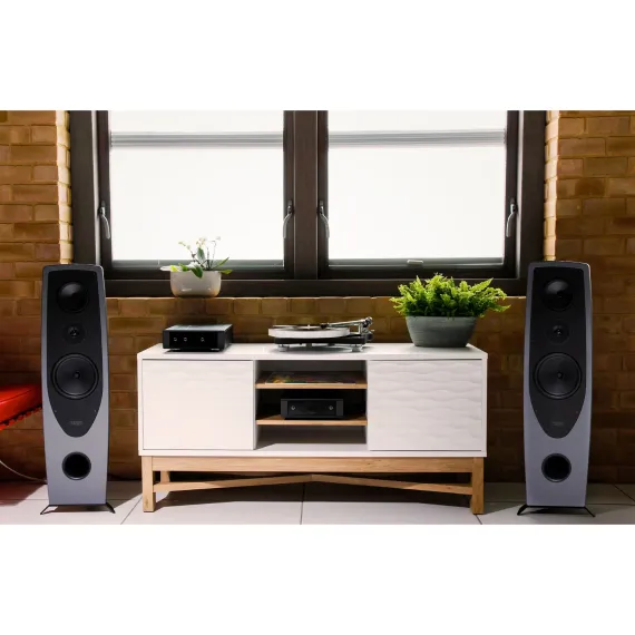 Rega Naia + Aphelion 2