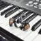 JH Audio Siren Series Layla