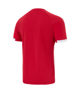 Футболка игровая Jogel DIVISION PerFormDRY Prisma Jersey-K, красный R2
