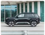 Платформа на крышу для BYD Leopard 3 Fang Cheng Bao 2025 леопард багажник органайзер на крышку боковая лестница