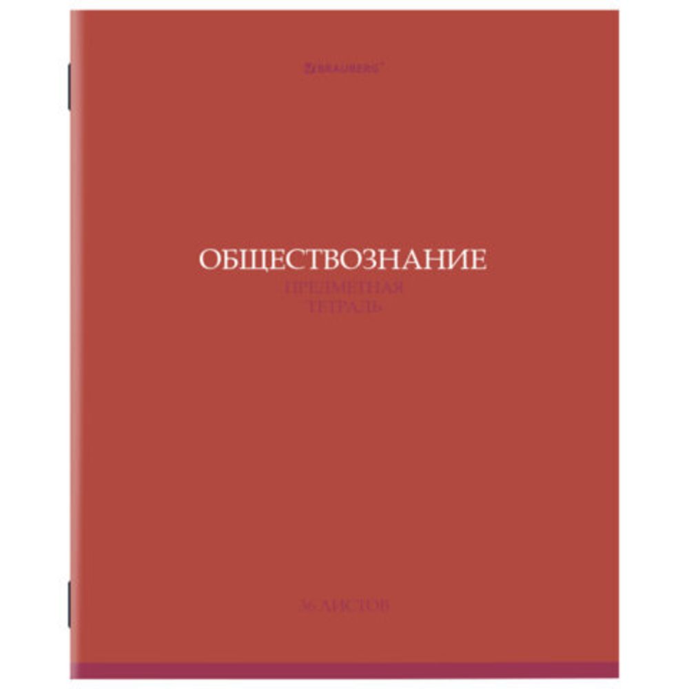 Тетради предметные, КОМПЛЕКТ 13 ПРЕДМЕТОВ, 36 л., обложка мелованная бумага, BRAUBERG, "КОЛОР", 405161