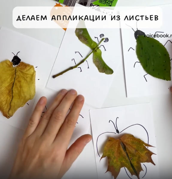 Делаем аппликации "Насекомые" из листьев Делаем аппликации "Насекомые" из листьев