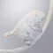 Подвесной светильник Gemelli A2150SP-1WG Arte Lamp