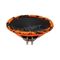 DL Audio Gryphon Pro 200 Neo