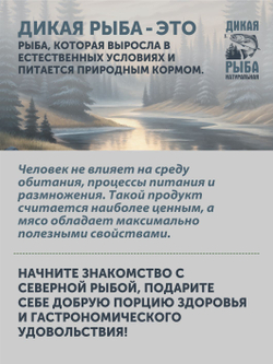 Набор Уха из щуки + Уха из судака