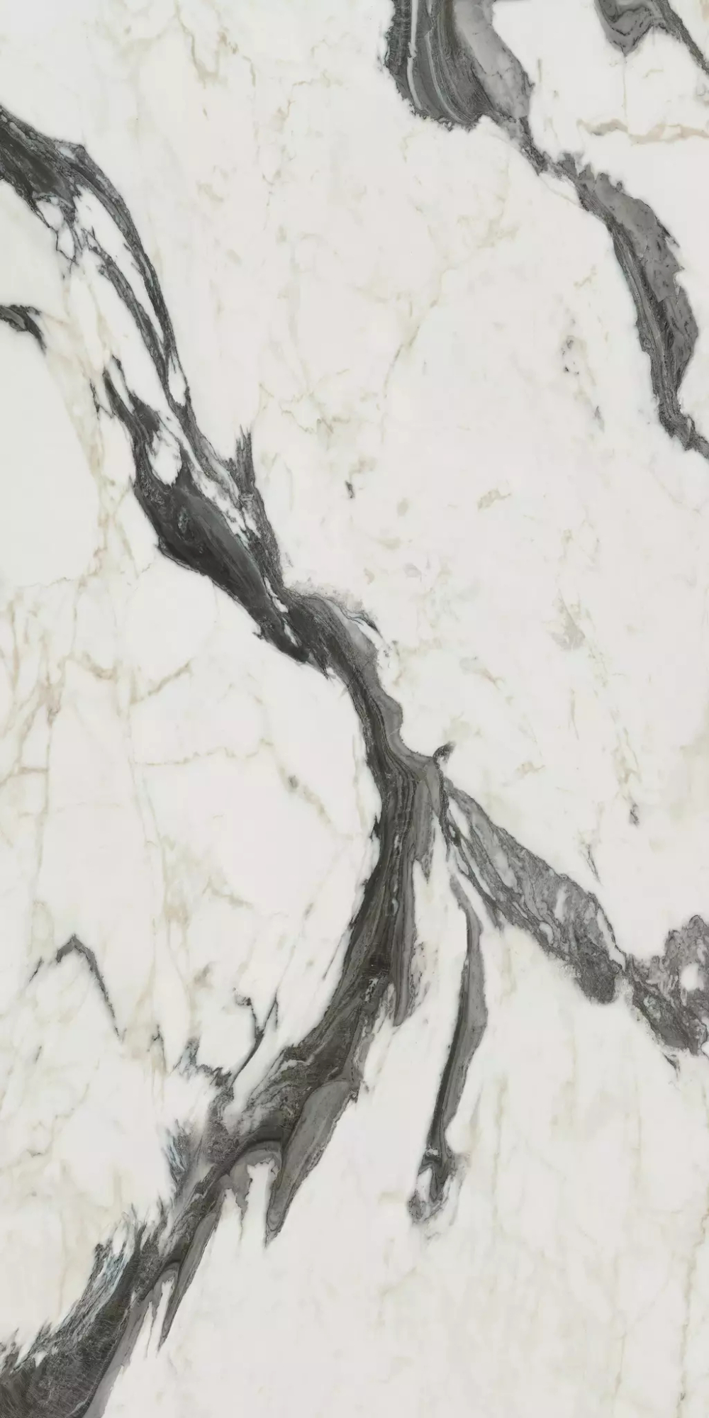 Керамогранит Bijoux Calacata Altissimo Blanc Matte
