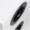Radiotehnika Vita 2.04 White Ash