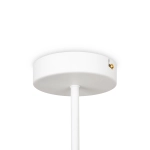 Потолочная люстра Freya Cozy FR5211PL-04W