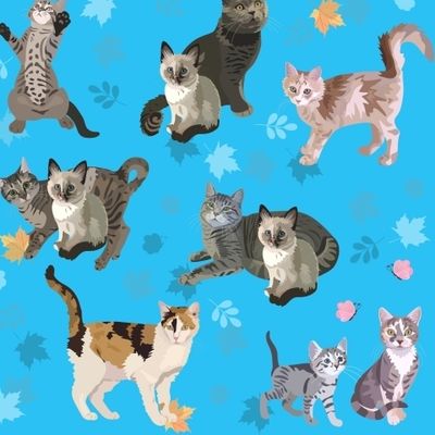 Котики на голубом фоне