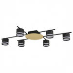 Потолочная люстра Lumion BENUA 8304/6C