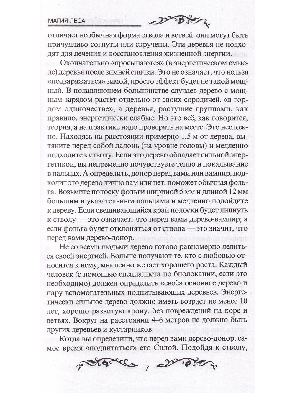 Магия леса