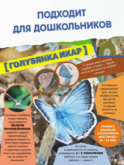 Большая энциклопедия о насекомых. 500 фотографий и фактов
