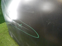 DSCN9950.jpg