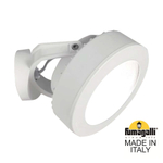 Уличный настенный светильник Fumagalli TOMMY 2M1.000.000.WXD1L
