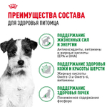 Royal Canin Mini Ageing 12+ Мини Эйджинг Корм влажный для стареющих собак мелких пород соус 85г