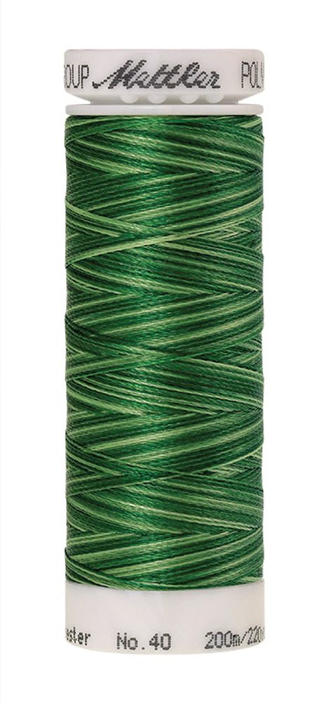 Нить вышивальная Mettler Poly Sheen Multi 40 (200 м), 5 кат. | цв. 9932 Нить вышивальная Mettler Poly Sheen Multi 40 (200 м), 5 кат. | цв. 9932
