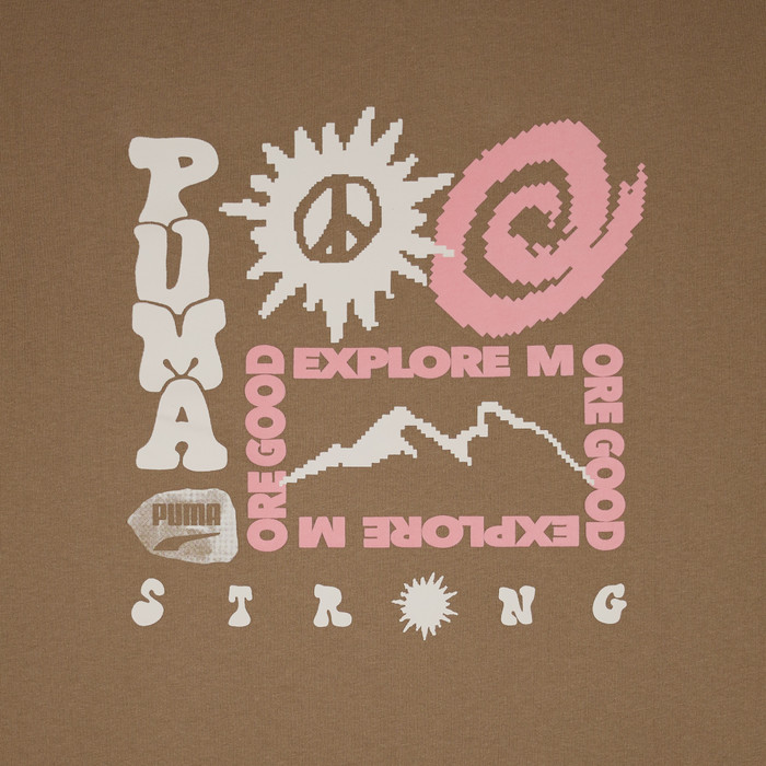 Футболка мужская Puma Downtown Graphic Tee артикул:622984-85 - купить в магазине Дайс